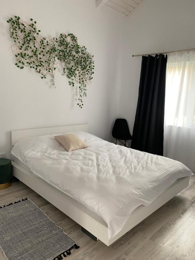 Cabana Evay Ocnele Mari Bagian luar foto