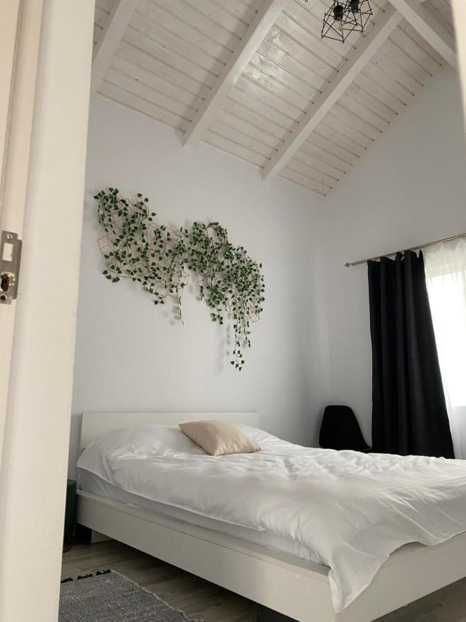 Cabana Evay Ocnele Mari Bagian luar foto