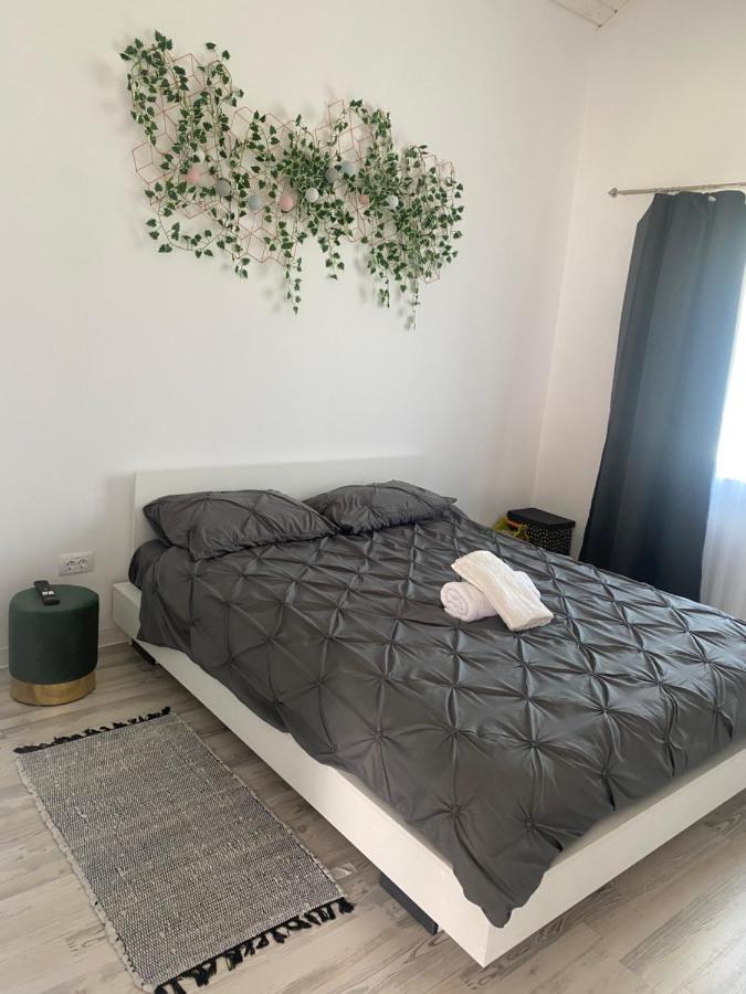 Cabana Evay Ocnele Mari Bagian luar foto
